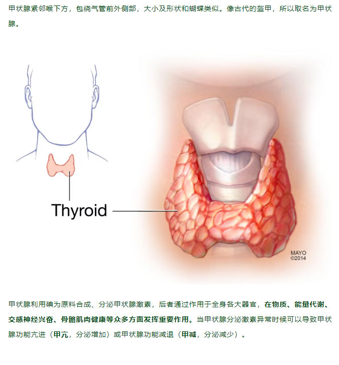 每一次熬夜，都在消耗甲状腺寿命！教你自律→