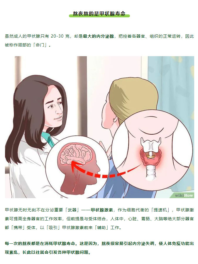 每一次熬夜，都在消耗甲状腺寿命！教你自律→