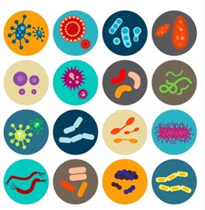 为什么每个人都要去做肠道菌群检测？