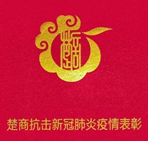 致敬丨楷恩医院荣获楚商抗击新冠肺炎疫情先进集体及个人表彰